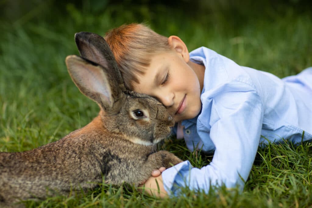 Tiergestützte Begleitung – 6 Gründe, warum sie so heilsam wirkt 1 Junge kuschelt mit Kaninchen