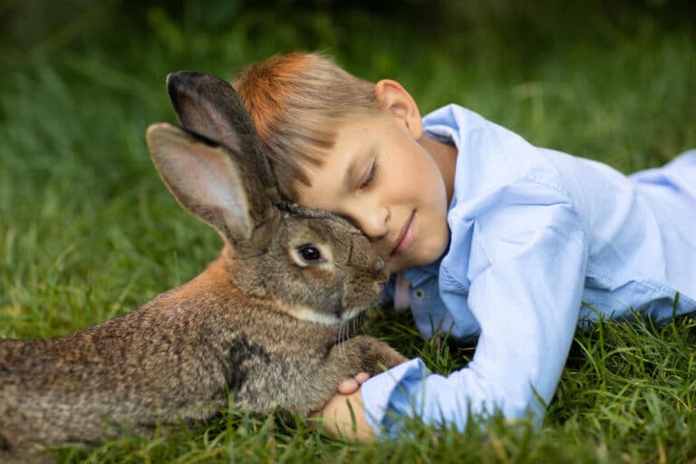 Junge kuschelt mit Kaninchen